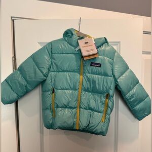 Patagonia Baby Teal Down Hoody